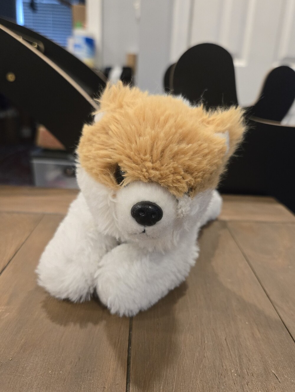 Aurora Plush Puppy Stuffed Animal White and Light Brown